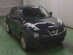 2011 Nissan Juke